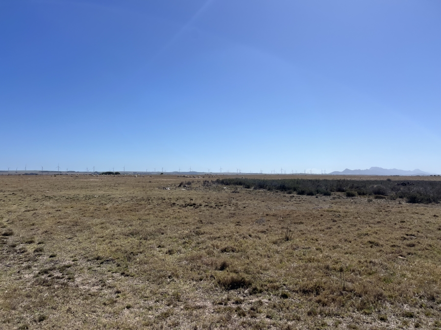 0 Bedroom Property for Sale in Humansdorp Rural Eastern Cape